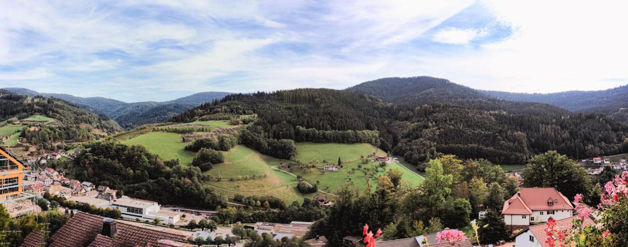 Hotel Schauinsland Bad Peterstal-Griesbach Luaran gambar