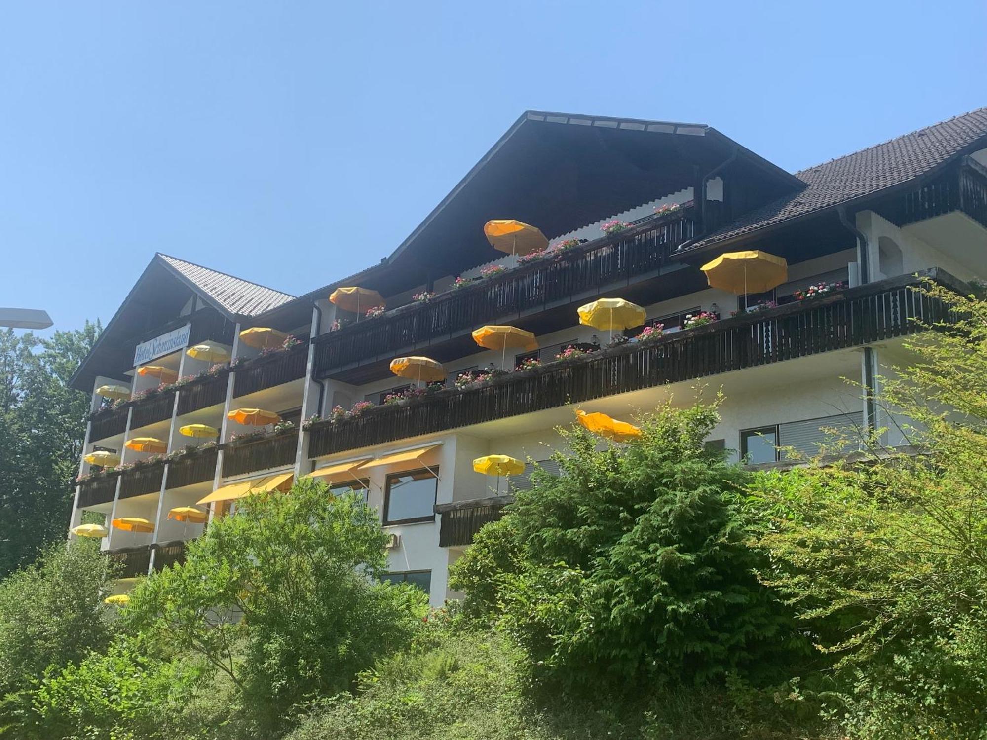 Hotel Schauinsland Bad Peterstal-Griesbach Luaran gambar