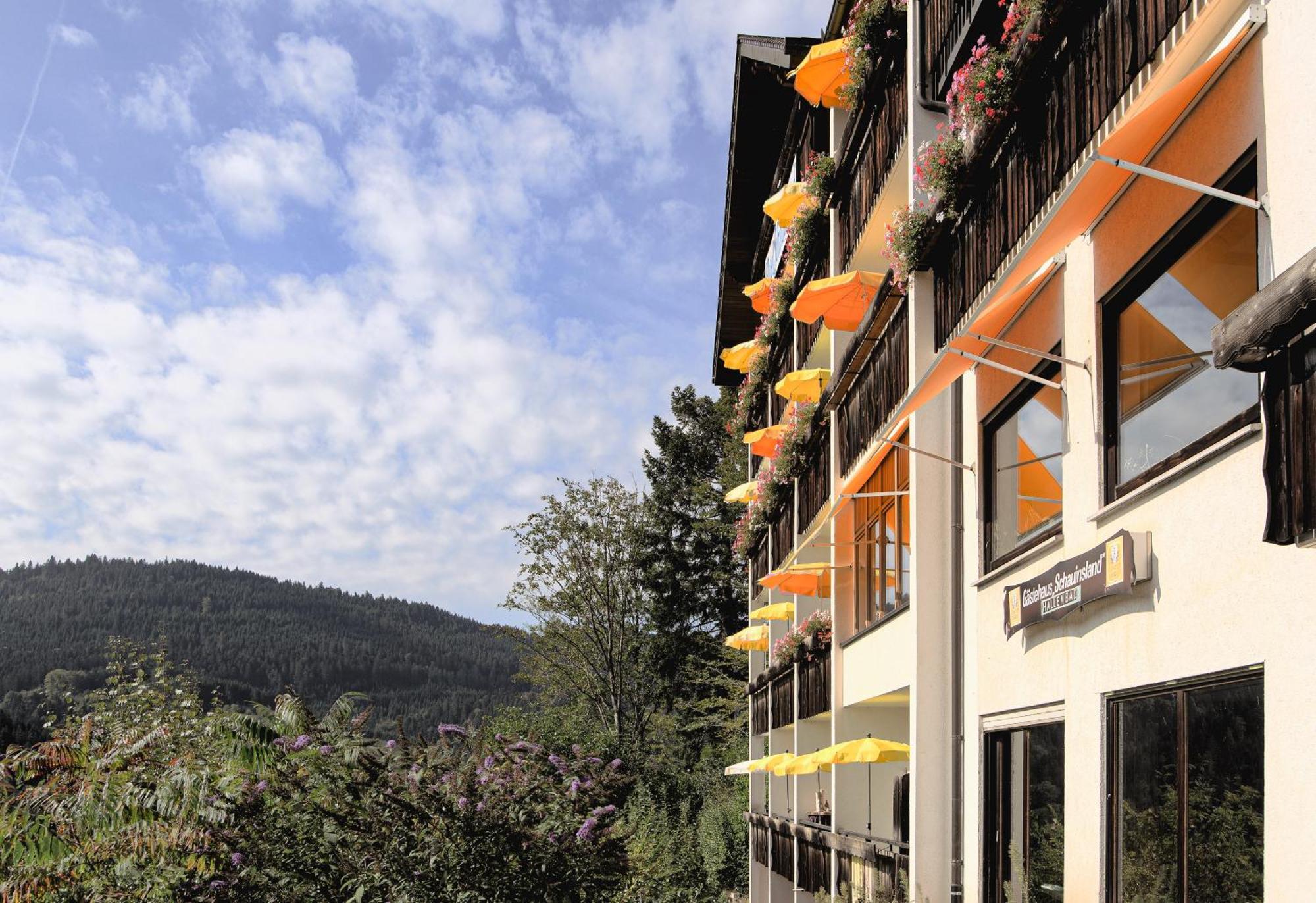 Hotel Schauinsland Bad Peterstal-Griesbach Luaran gambar