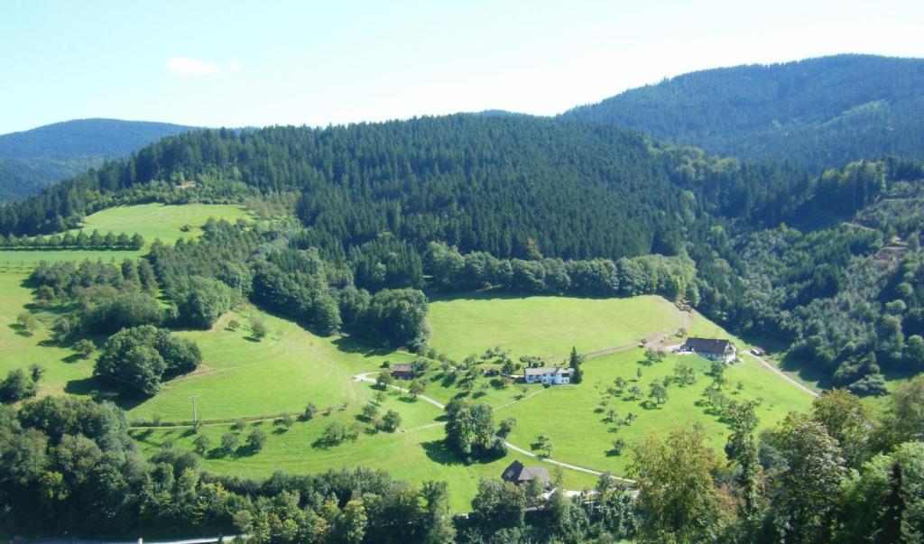 Hotel Schauinsland Bad Peterstal-Griesbach Bilik gambar